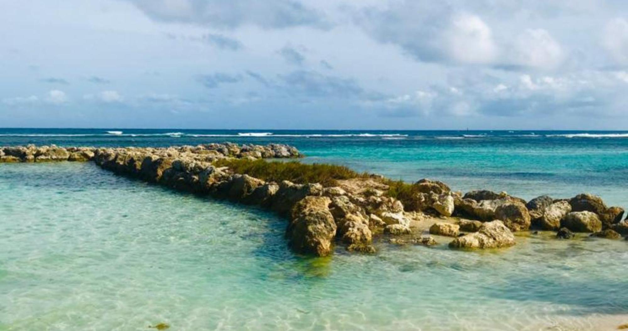 Magnifique Appartement Fleurs Caraibes - 6 Personnes En Residence Avec Piscine Privee - Sainte Anne Eksteriør bilde
