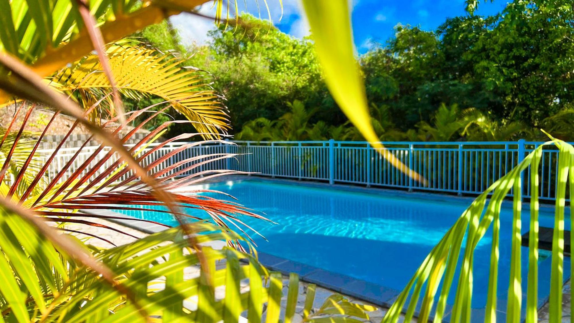 Magnifique Appartement Fleurs Caraibes - 6 Personnes En Residence Avec Piscine Privee - Sainte Anne Eksteriør bilde